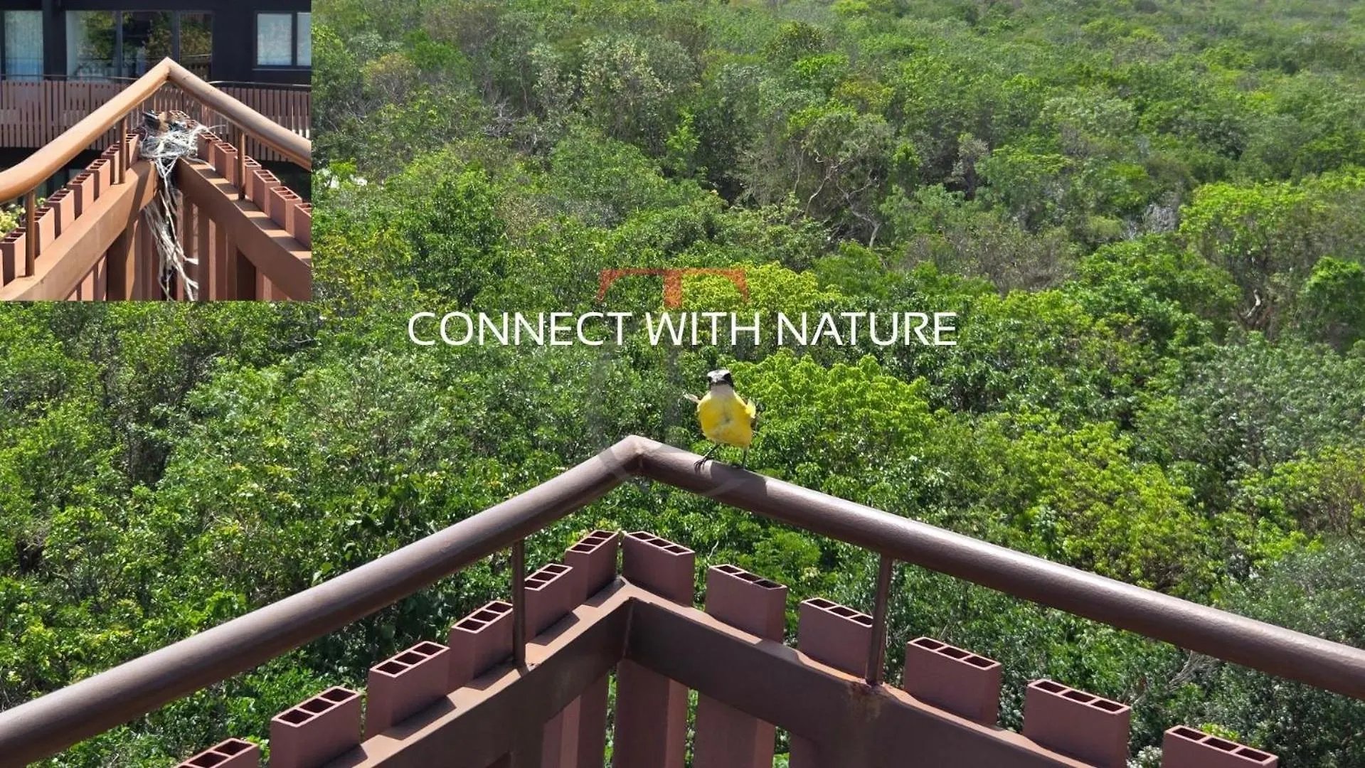 Apartment With Private Jacuzzi, Rooftop Pools & Free Beach Club 툴룸 멕시코